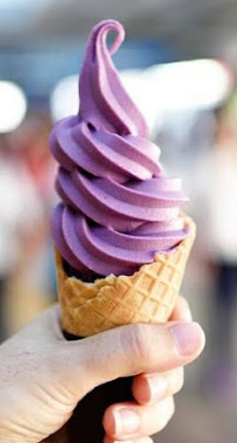 Spot 4 Icecream - Hospitality and gastronomy