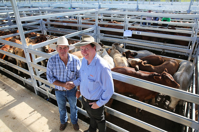 Burnett Livestock & Realty - Brisbane