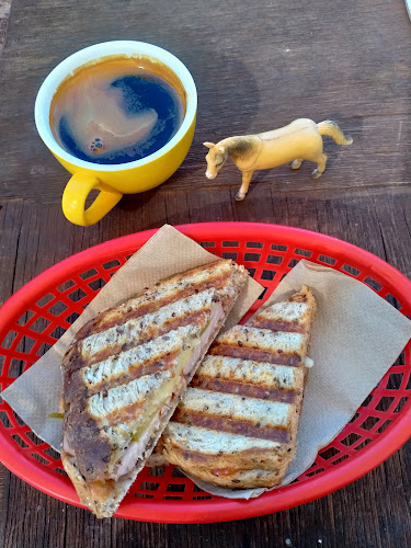 Opinii despre The Coffee Horse în Ciccone - Hospitality and gastronomy