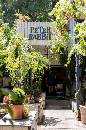 Comentarii opinii despre Peter Rabbit Cafe