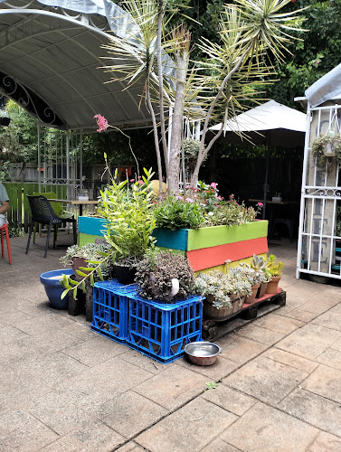 Snag & Brown - Hospitality and gastronomy