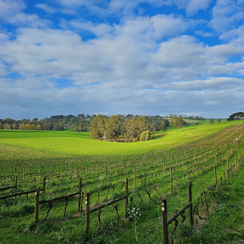 Hogget Kitchen - Hospitality and gastronomy