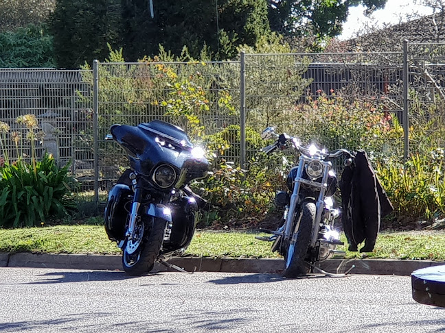 Comentarii opinii despre Spencers Store