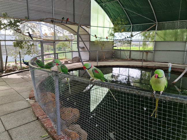 Comentarii opinii despre The Old Marron Farm