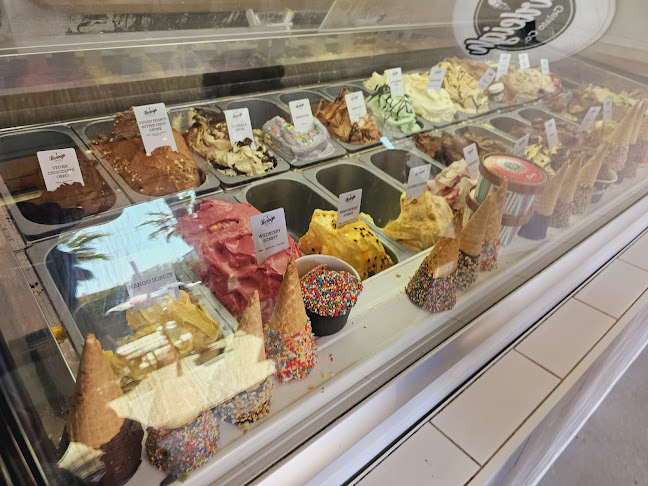 Burleigh Gelato Co (Palm Beach) - Hospitality and gastronomy