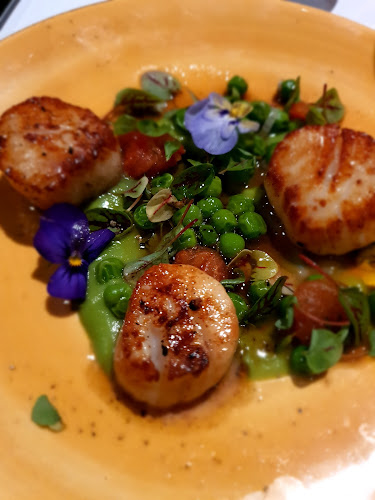 Amano Restaurant - Hospitality and gastronomy