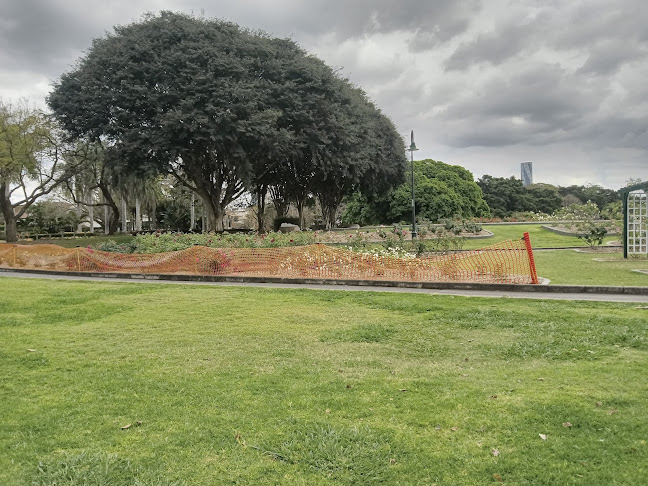 Comentarii opinii despre End of the Road Coffee