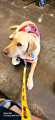 Comentarii opinii despre Round Bird Food & Wine Merchants