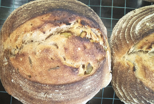 Opinii despre Firefly Bakery - by appointment only, please contact us. în Pappinbarra - Hospitality and gastronomy