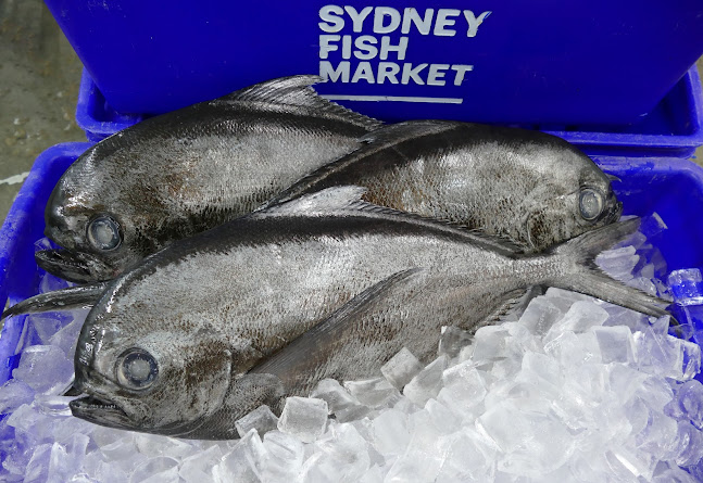 Comentarii opinii despre Monin Seafoods