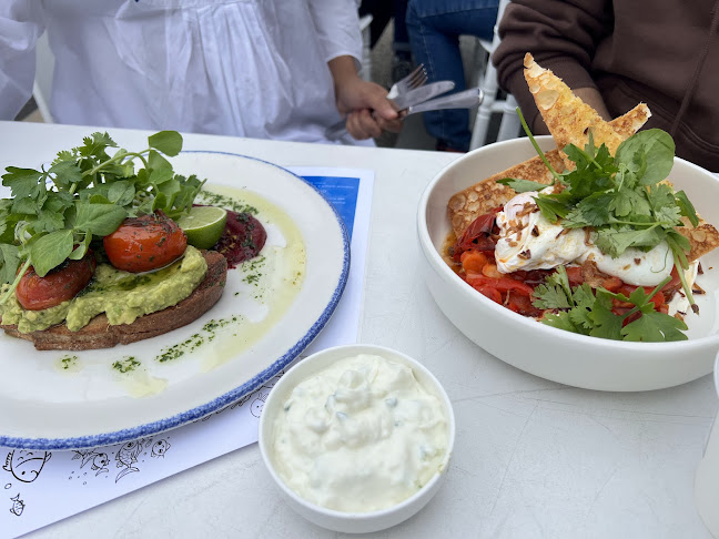 Comentarii opinii despre Albert & Co