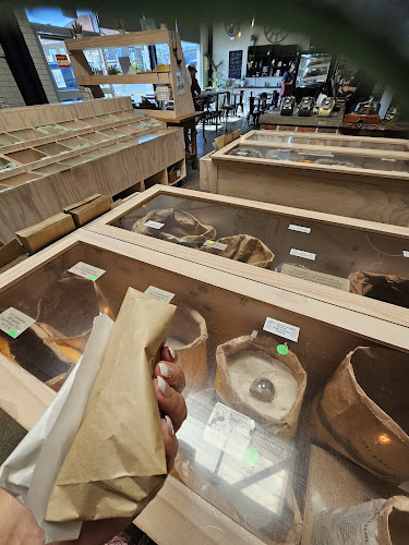 Solomon Merchants - Albany