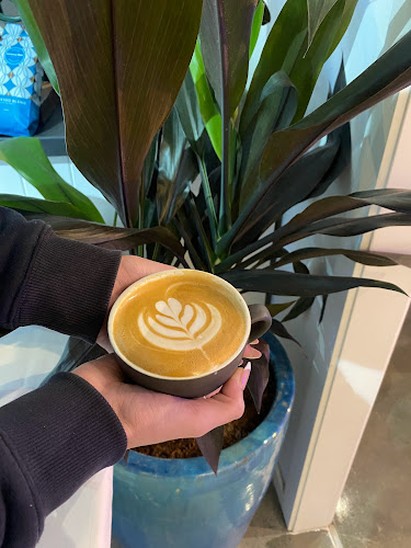 Opinii despre door 50 în Mermaid Beach - Hospitality and gastronomy