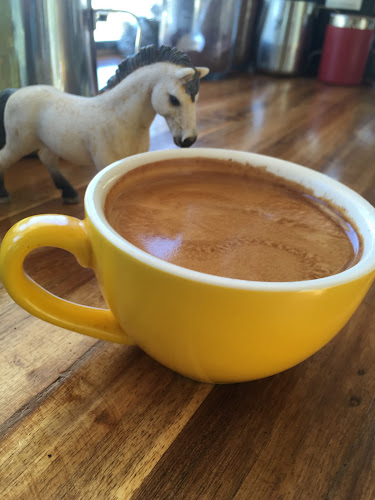 Comentarii opinii despre The Coffee Horse