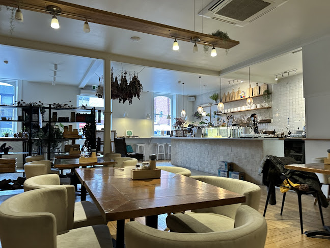 The Little Poet - Hobart