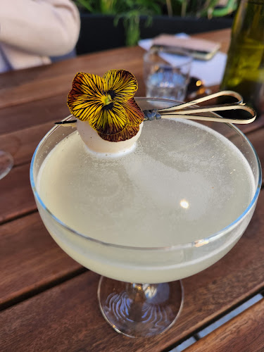 Dandelion - Karrinyup