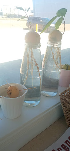 Opinii despre Jets Cafe în Sydney - Hospitality and gastronomy