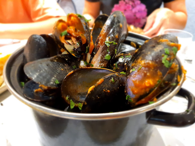 Bistro Bellavista - Hospitality and gastronomy