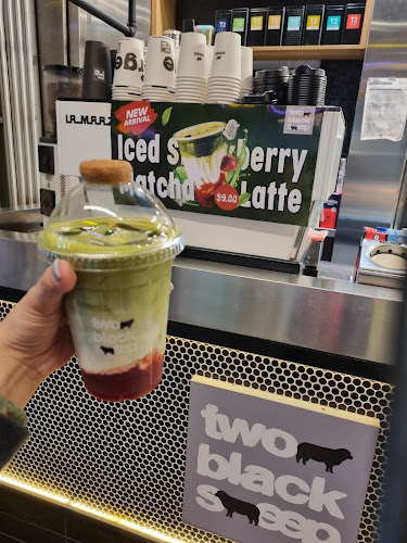 Comentarii opinii despre Two Black Sheep