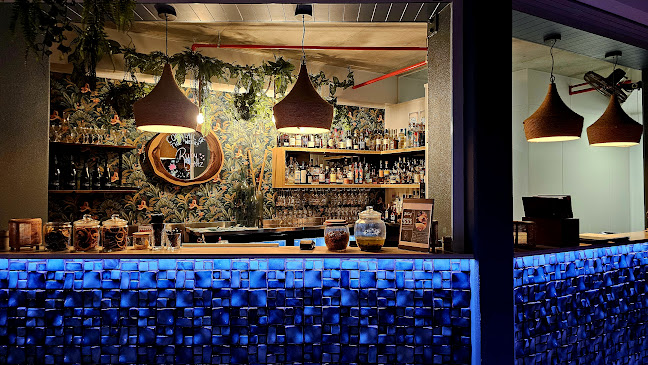 Comentarii opinii despre Bridgewater Q