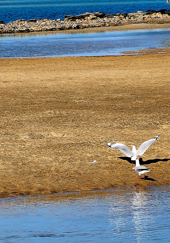 Urunga Seafood & Takeaway - Hospitality and gastronomy
