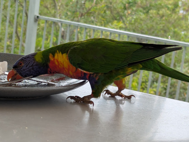 Comentarii opinii despre Inner Light Tea Rooms