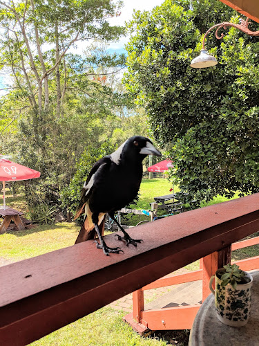 5329 Kyogle Rd, Cawongla NSW 2474