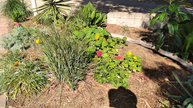 111 Nicolson Ave, Whyalla Norrie SA 5608