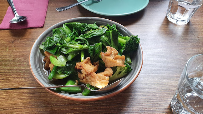 Carnation Thai Restaurant - Hospitality and gastronomy