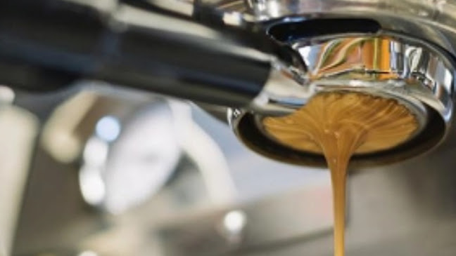 Palate & Ply Espresso Bar, Cafe & Roastery - Hospitality and gastronomy
