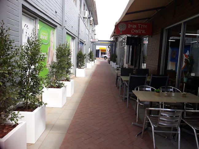 Wodonga Central Cafe - Wodonga