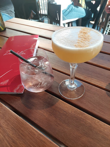 Comentarii opinii despre Dandelion