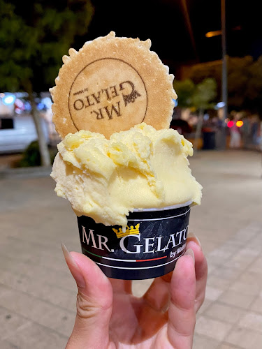 Mr Gelato by Matteo Collaroy - Hospitality and gastronomy
