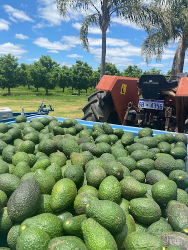 18189 S Western Hwy, Donnybrook WA 6239