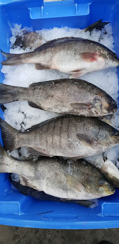 3/105 Bent St, South Grafton NSW 2460