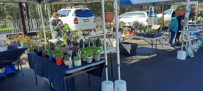 Comentarii opinii despre Nil