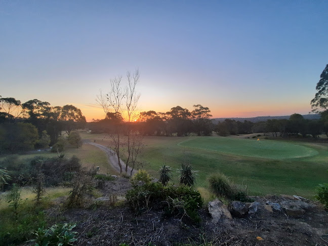 Sitting Duck - Hospitality and gastronomy