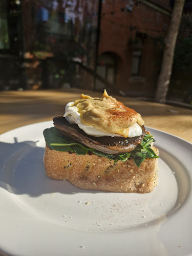 Pieno - Hospitality and gastronomy