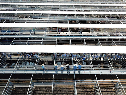 Burnett Livestock & Realty