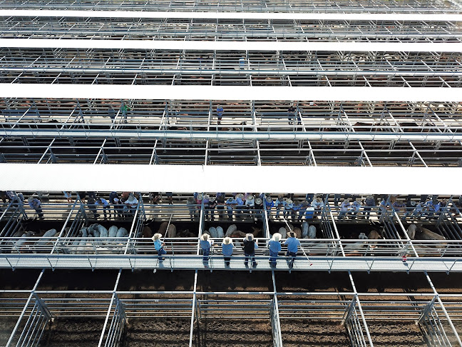 Burnett Livestock & Realty