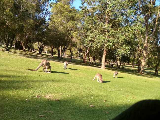 Opinii despre Bluewater Grill în Nelson Bay - Hospitality and gastronomy