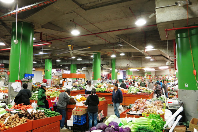 9/13 Hay St, Haymarket NSW 2000