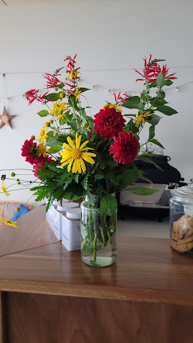 Comentarii opinii despre Food Angel Kitchen