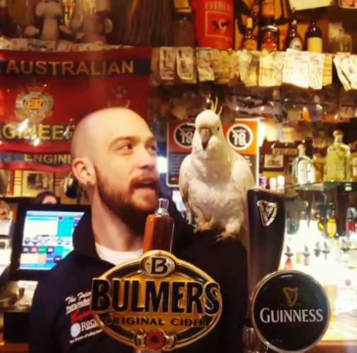 Friend in Hand Hotel - Hospitality and gastronomy