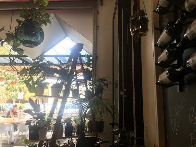 Comentarii opinii despre Sayers Little Brother