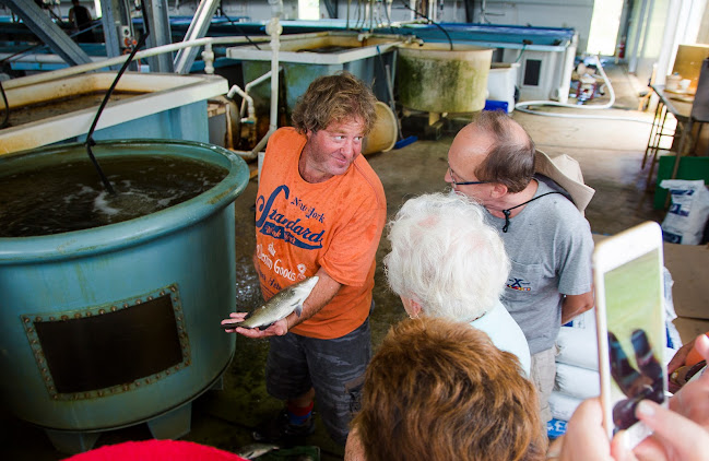 Tailor Made Fish Farms Restaurant - Sydney