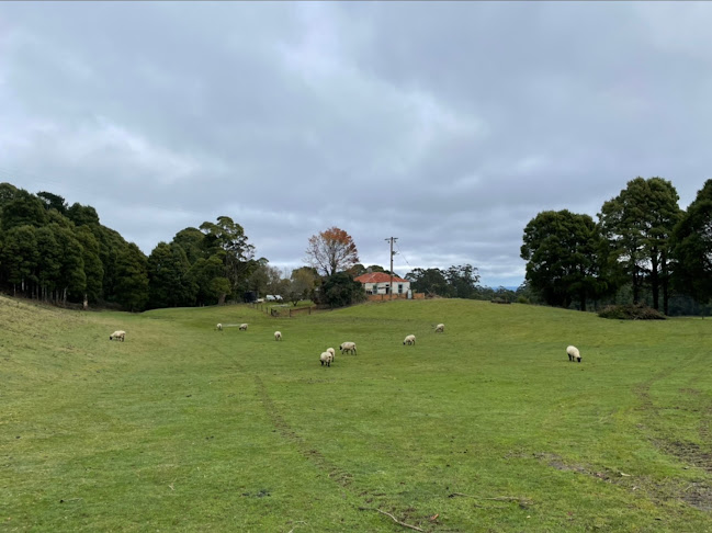 Comentarii opinii despre Otway NouriShed