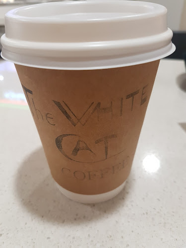 Opinii despre The White Cat Coffee în Brisbane City - Hospitality and gastronomy