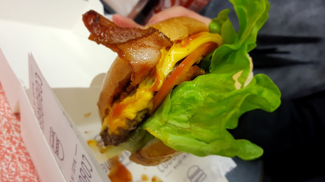 Comentarii opinii despre Coburger & Co