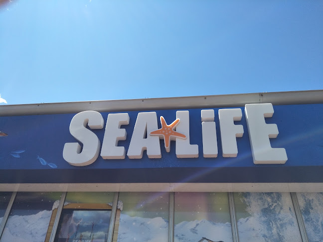 Henley's Bar & Kitchen